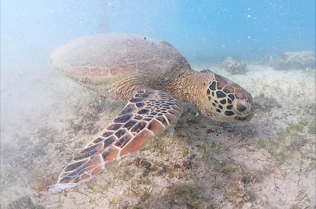 サービスメンテナンス 職 S.Nさんインタビュー画像